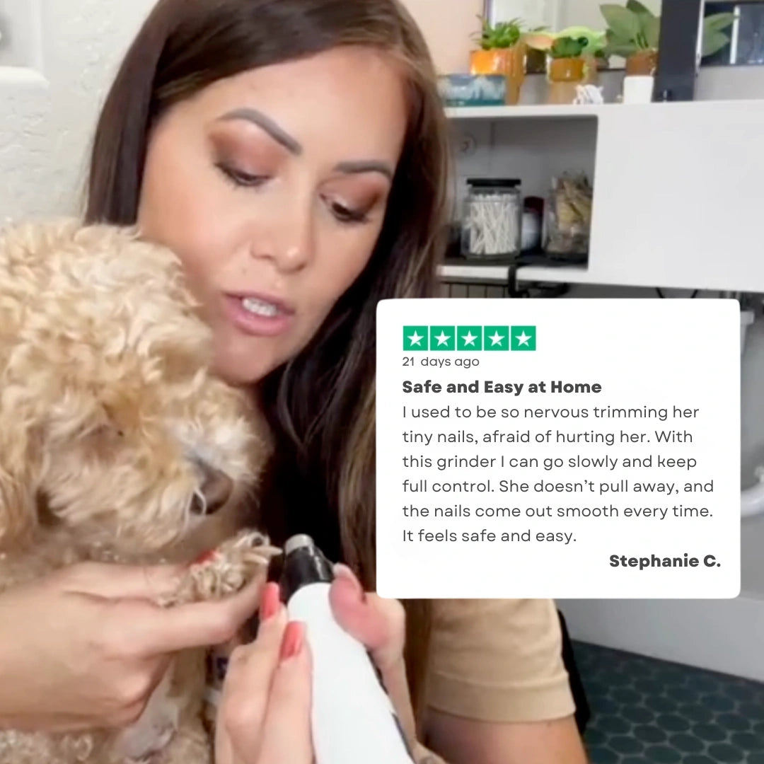 Silent Groom — Stress-Free, Silent, At-Home